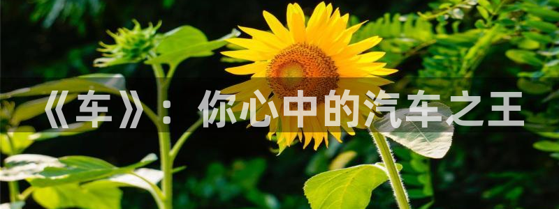 汗汗漫画网站首页：《车》：你心中的汽车之王
