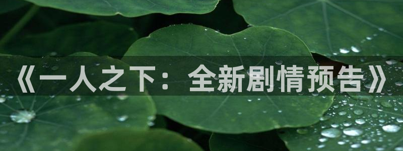 汗汗漫画免费漫画在线看：《一人之下：全新剧情预告》