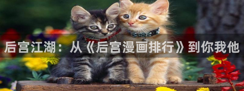 汗汗漫画下拉式：后宫江湖：从《后宫漫画排行》到你我他