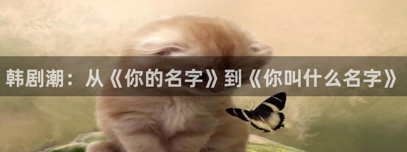汗汗漫画樱花：韩剧潮：从《你的名字》到《你叫什么名字》